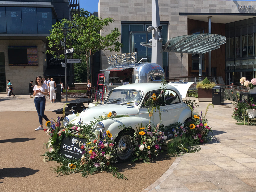 "Moggie" helps promote Fever Trees